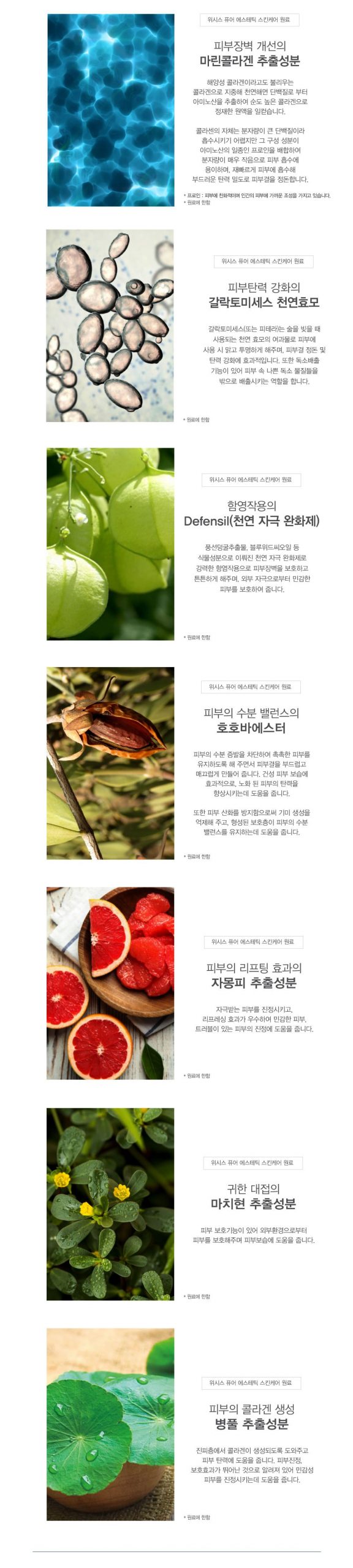 위시스 퓨어 에스테틱 스킨 워터 120ml